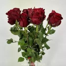 Czerwone Róże